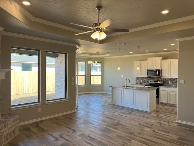 554 Calla Lily Dr, Tolar, TX 76476 - kitchen with stainless steel appliances, a sink, a raised ceiling, a ceiling fan, and dark wood finished floors