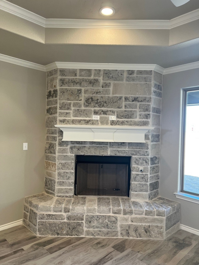 554 Calla Lily Dr, Tolar, TX 76476 - detailed view of ornamental molding, a fireplace, wood finished floors, and baseboards