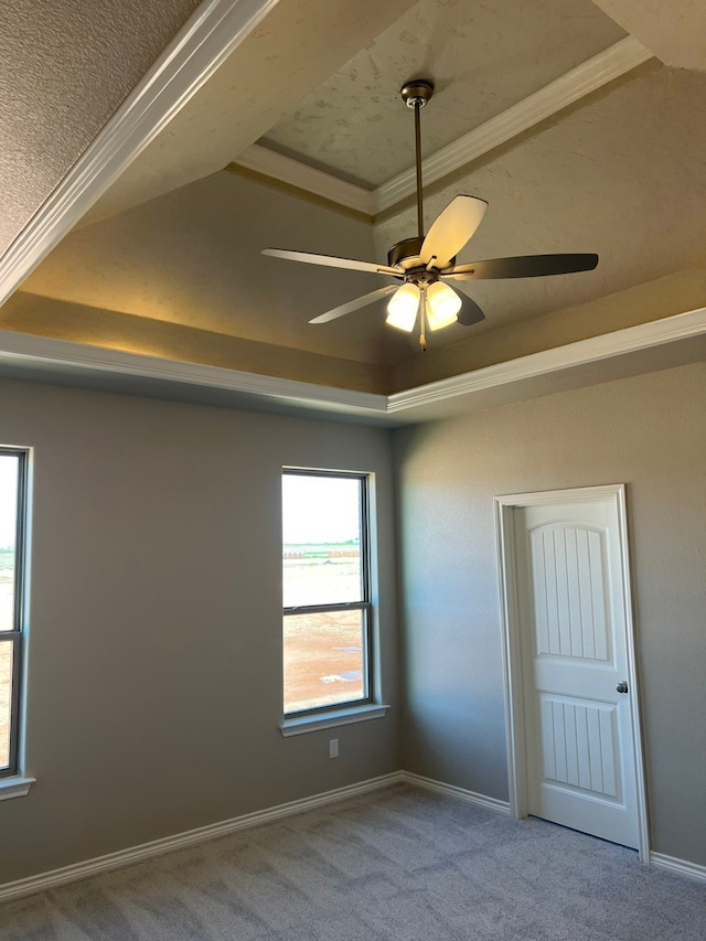 554 Calla Lily Dr, Tolar, TX 76476 - spare room with a tray ceiling, carpet, a ceiling fan, and baseboards