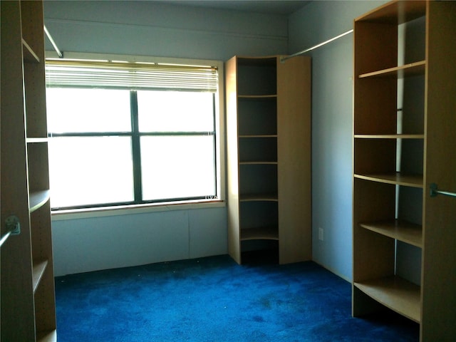 750 Ross Ave, Abilene, TX 79605 - unfurnished bedroom featuring carpet floors
