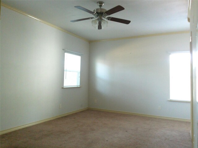 750 Ross Ave, Abilene, TX 79605 - empty room with crown molding, carpet, a ceiling fan, and baseboards