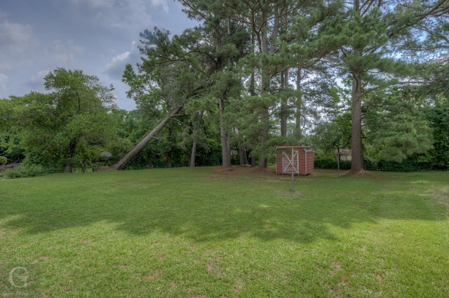 808 E St, Minden, LA 71055 - view of green lawn
