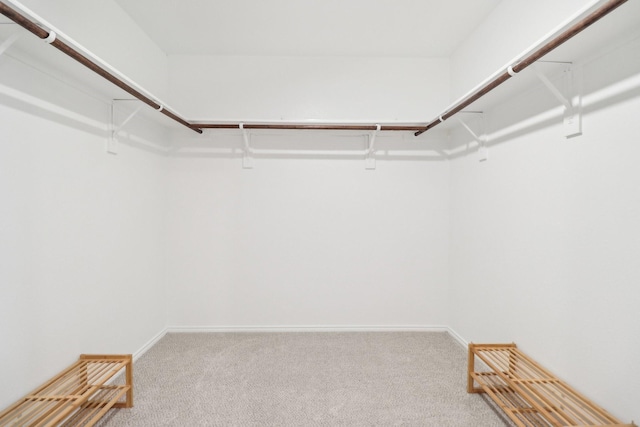 5431 Longshadow Dr, Princeton, TX 75407 - spacious closet featuring carpet floors