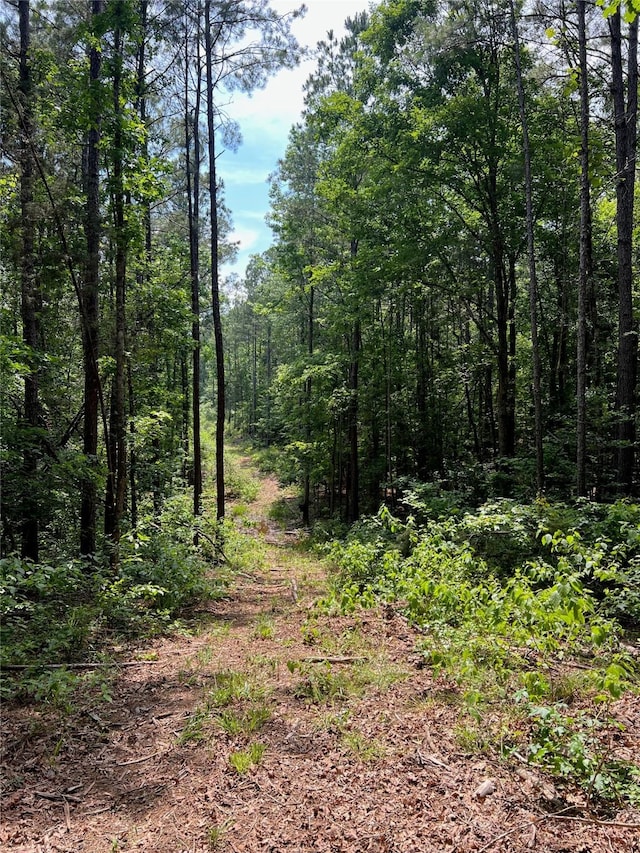 521 County Road 1759, Linden, TX 75563
