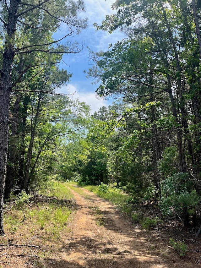 521 County Road 1759, Linden, TX 75563