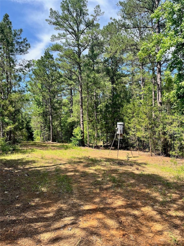 521 County Road 1759, Linden, TX 75563