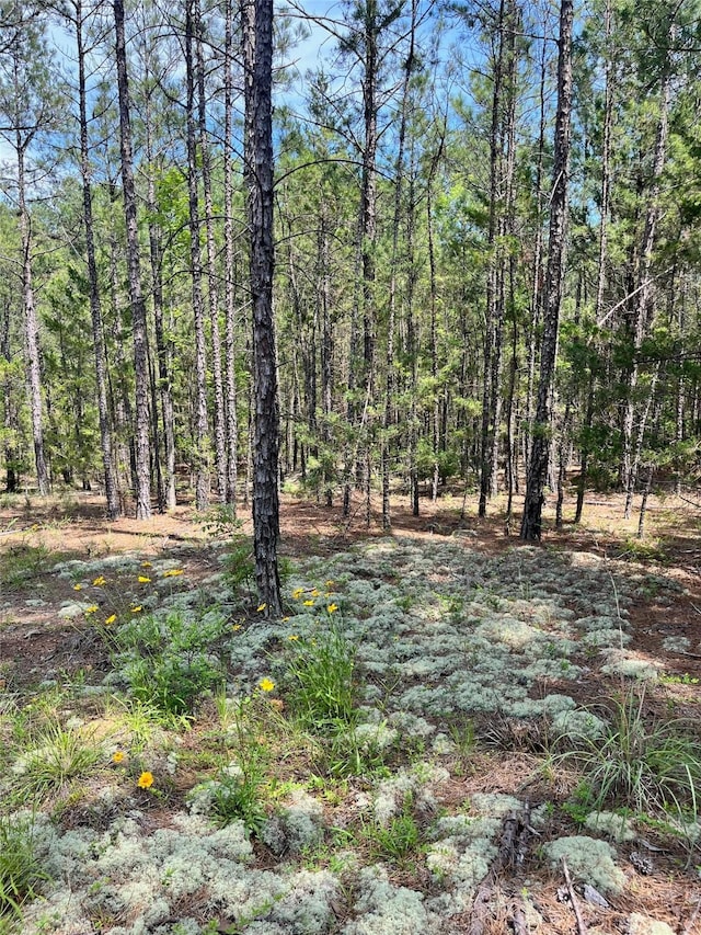 521 County Road 1759, Linden, TX 75563