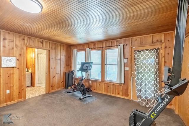 3126 Salinas Dr, Abilene, TX 79605 - workout area featuring wood ceiling, wood walls, and carpet floors