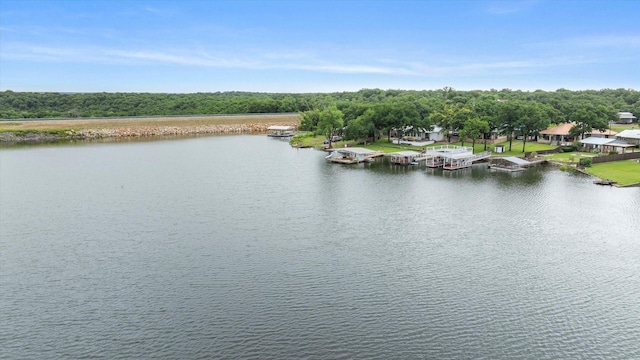 122 County Road 603, Eastland, TX 76448 - water view with a dock