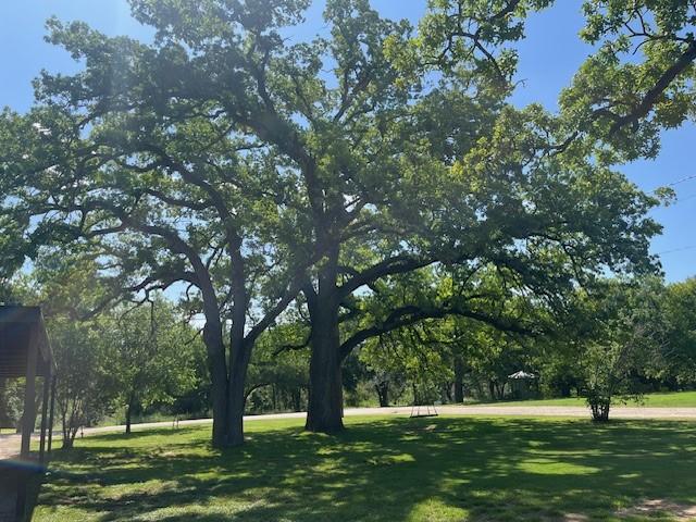 214 Hemphill St, Hico, TX 76457 - surrounding community featuring a lawn