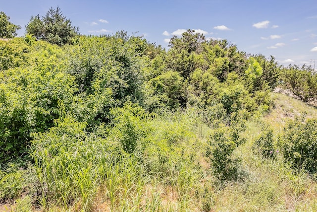 113 Denton Heights Ln, Weatherford, TX 76085