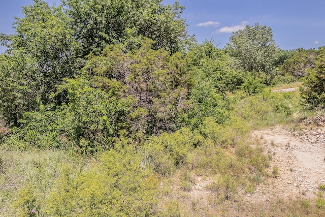 113 Denton Heights Ln, Weatherford, TX 76085
