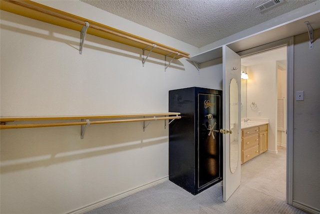 5701 Fm 2101, Quinlan, TX 75474 - spacious closet with light carpet and a sink