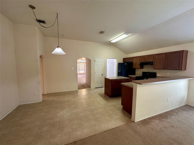 4821 Topaz Ln, Granbury, TX 76049 - kitchen with black appliances, arched walkways, lofted ceiling, under cabinet range hood, and a kitchen island