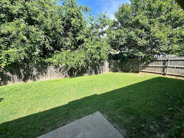 4821 Topaz Ln, Granbury, TX 76049 - view of yard