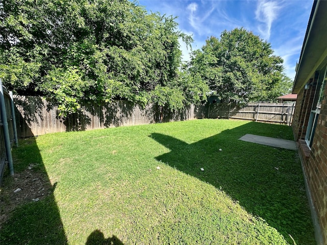4821 Topaz Ln, Granbury, TX 76049 - view of yard