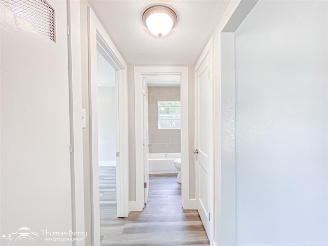 2234 Meander St, Abilene, TX 79602 - hallway with light wood finished floors and baseboards