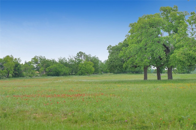 290 Berwick Rd, Jacksboro, TX 76458 - view of local wilderness