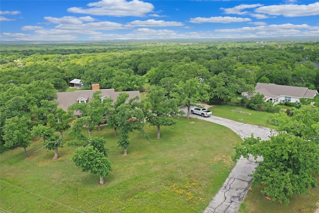 290 Berwick Rd, Jacksboro, TX 76458 - view of subject property with a forest