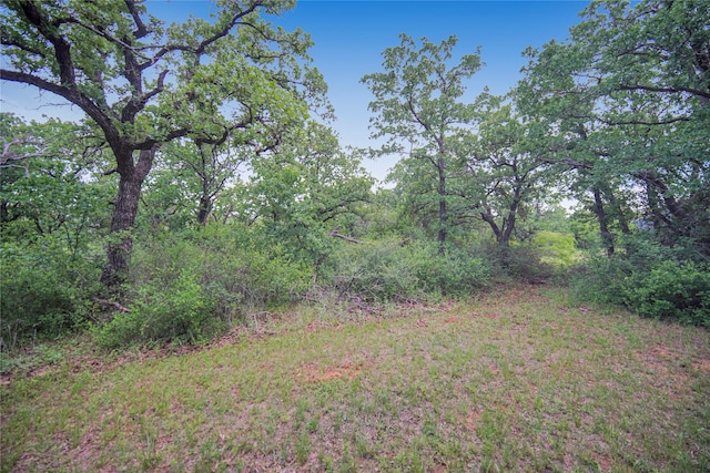 290 Berwick Rd, Jacksboro, TX 76458 - view of yard featuring a forest view