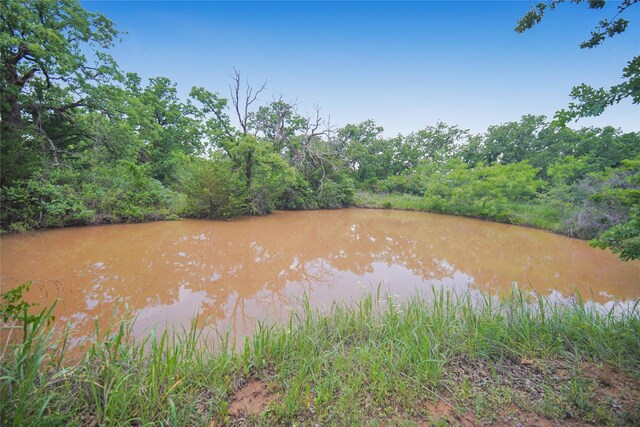 290 Berwick Rd, Jacksboro, TX 76458 - water view featuring a heavily wooded area