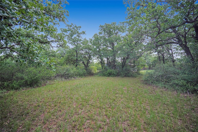 290 Berwick Rd, Jacksboro, TX 76458 - view of yard with a wooded view