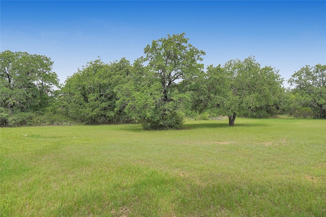 290 Berwick Rd, Jacksboro, TX 76458 - view of grassy yard with a wooded view