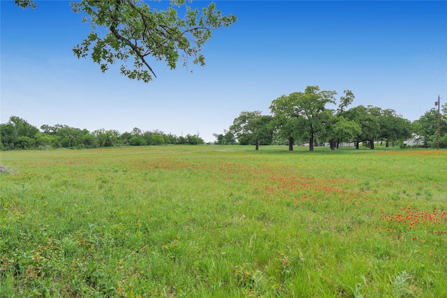 290 Berwick Rd, Jacksboro, TX 76458 - view of local wilderness featuring rural landscape