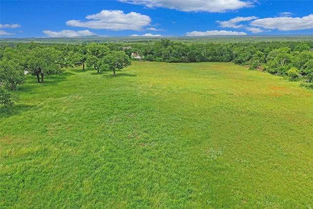 290 Berwick Rd, Jacksboro, TX 76458 - aerial view of a forest