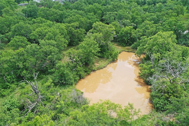 290 Berwick Rd, Jacksboro, TX 76458 - aerial view of a large body of water and a heavily wooded area