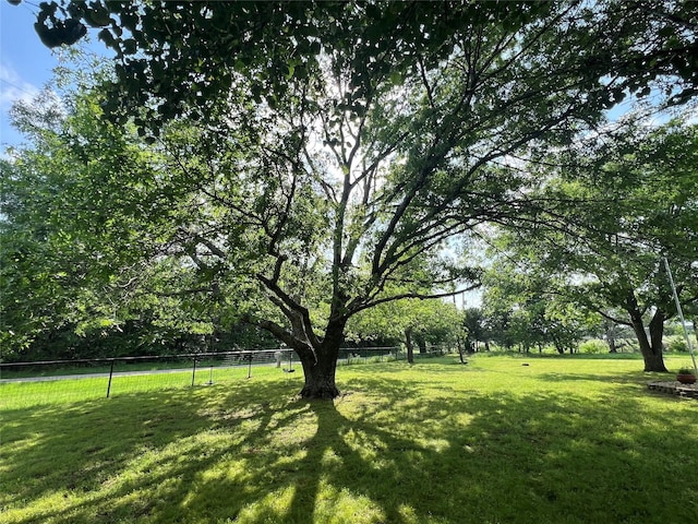 4491 Dugan Chapel Rd, Bells, TX 75414 - view of yard