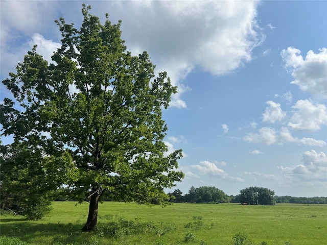 4491 Dugan Chapel Rd, Bells, TX 75414 - view of local wilderness with rural landscape