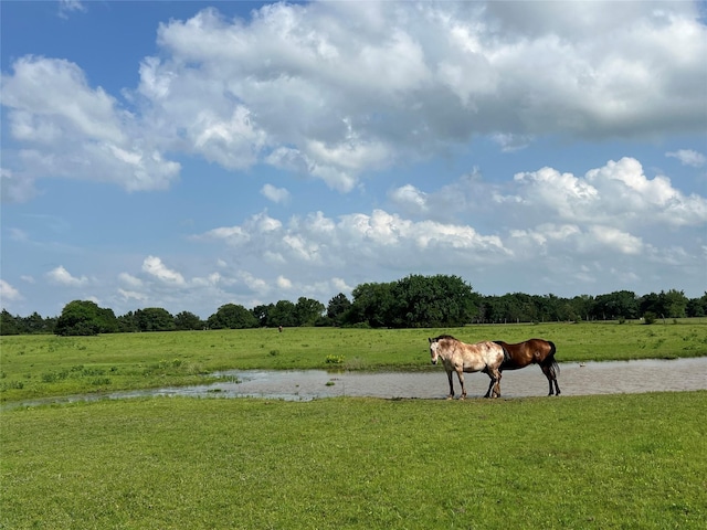 4491 Dugan Chapel Rd, Bells, TX 75414 - view of grassy yard with a view of countryside