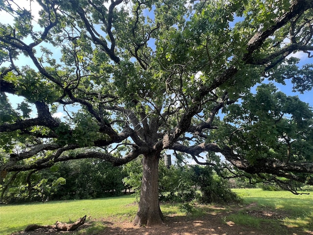 4491 Dugan Chapel Rd, Bells, TX 75414 - view of grassy yard
