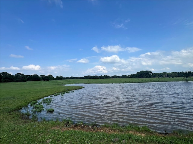 4491 Dugan Chapel Rd, Bells, TX 75414 - water view