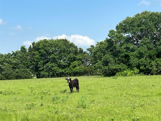 4491 Dugan Chapel Rd, Bells, TX 75414 - view of yard with a rural view