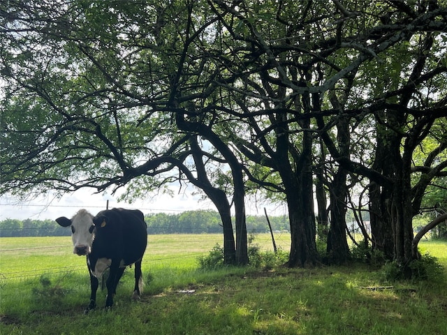 4491 Dugan Chapel Rd, Bells, TX 75414 - view of property's community featuring a rural view