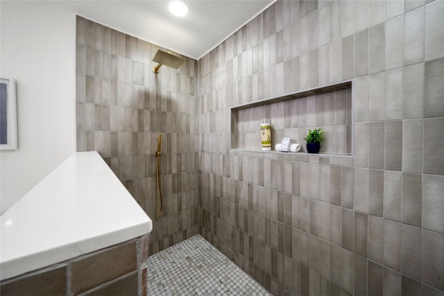 2520 Delmar Dr, Plano, TX 75075 - bathroom with tiled shower