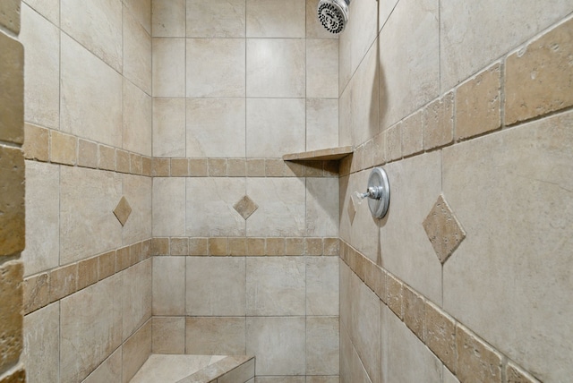 2790 Fairview Rd, Millsap, TX 76066 - bathroom view of tiled shower