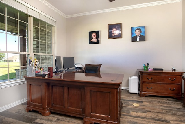 4816 Prairie Chapel Trl, Crandall, TX 75114 - office space featuring ornamental molding, baseboards, and dark wood finished floors