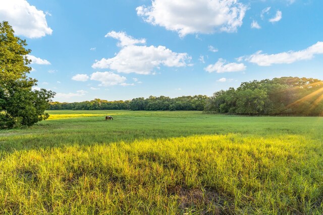 LOT12ANDLOT13 Sherry Trl, Weatherford, TX 76086