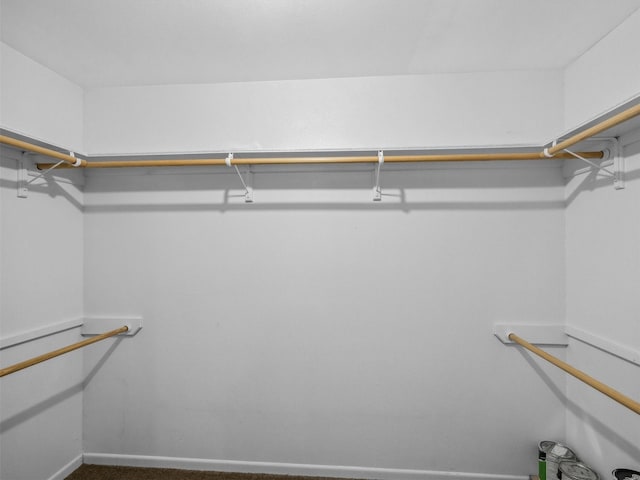136 Lariat Loop, Holly Lake Ranch, TX 75765 - walk in closet featuring carpet flooring