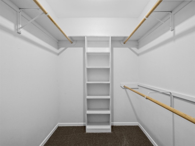 136 Lariat Loop, Holly Lake Ranch, TX 75765 - spacious closet with carpet
