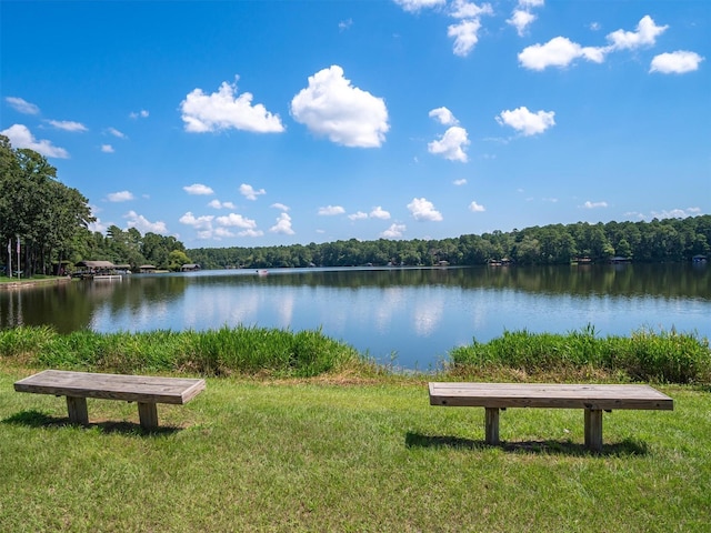 136 Lariat Loop, Holly Lake Ranch, TX 75765 - water view with a heavily wooded area