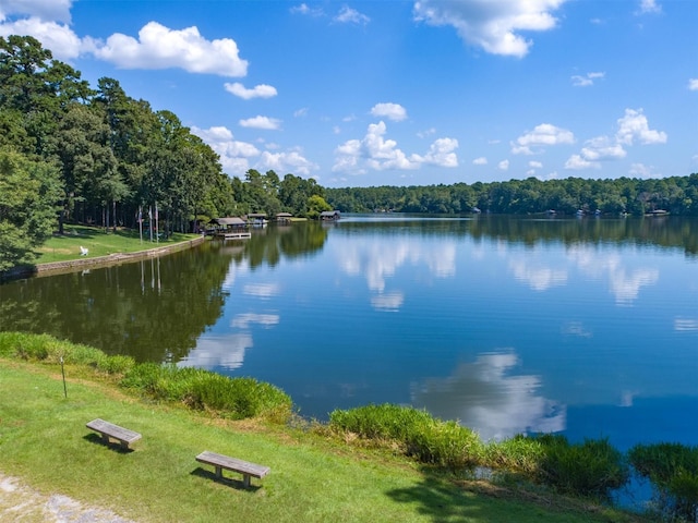 136 Lariat Loop, Holly Lake Ranch, TX 75765 - water view featuring a forest
