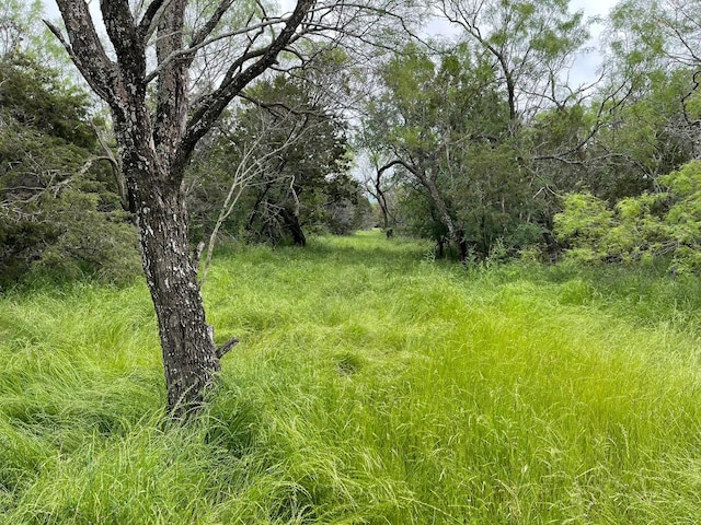 0000 Tbd, Glen Rose, TX 76043