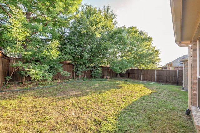 3072 Bigleaf Dr, Little Elm, TX 75068 - view of yard