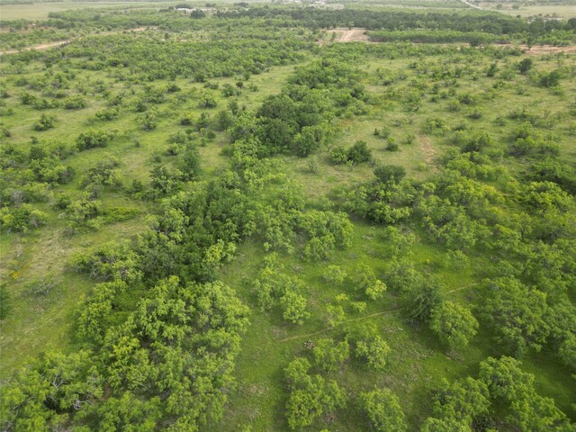 TBD Cr 119, Clyde, TX 79504