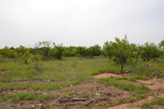TBD Cr 119, Clyde, TX 79504