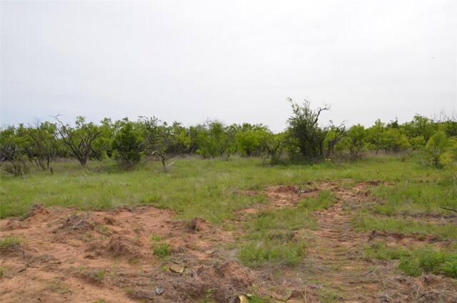 TBD Cr 119, Clyde, TX 79504